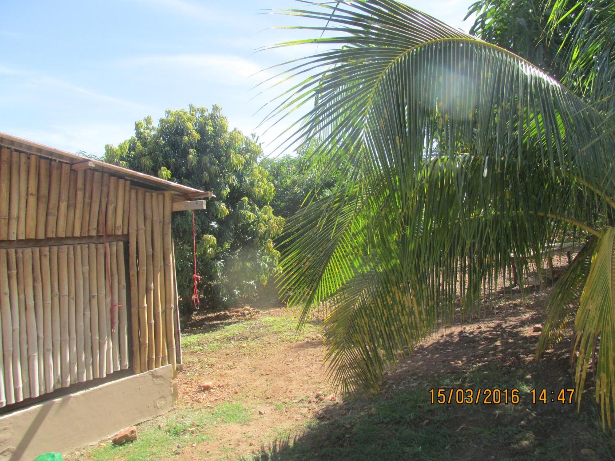 Jamaica Inn Guest House Botianaw Ngoại thất bức ảnh